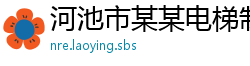 河池市某某电梯制造厂